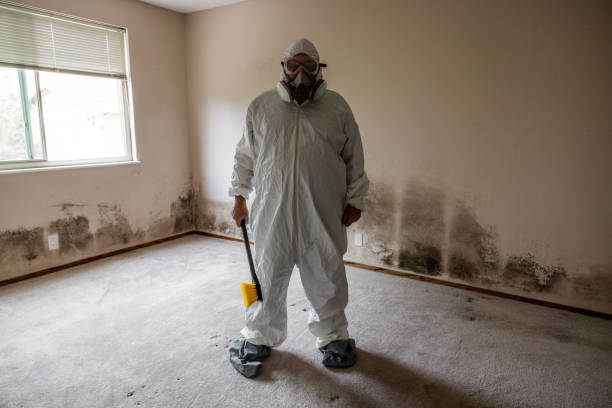 Best Attic Mold Removal  in Wetherington, OH