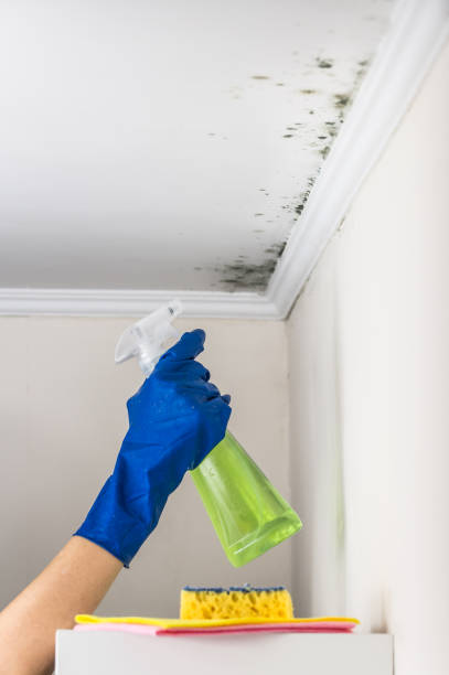 Best Crawl Space Mold Removal  in Wetherington, OH